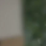 Vage portret foto, voor collega's die nog geen portret foto hebben.