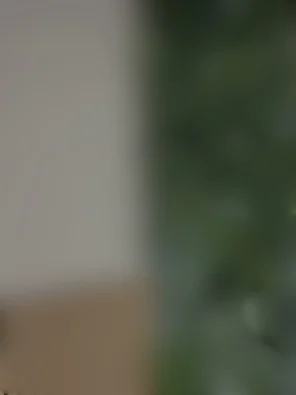 Vage portret foto, voor collega's die nog geen portret foto hebben.
